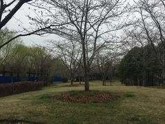 -林妈妈村·日式料理(宝山龙湖天街店)