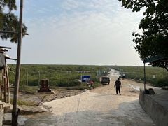 -北海金海湾红树林生态旅游区