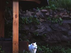 -北京水岸山吧度假村(雁栖镇店)