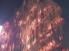 -三里屯东五街银杏大道