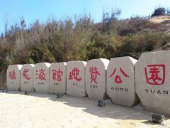 -湄洲岛