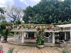 -人民公园(罗湖区)