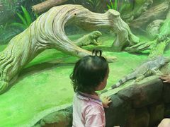 -华夏文旅海洋公园