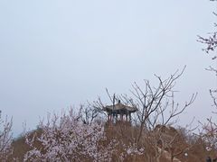 -北京凤凰岭