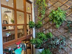 -有猫主题·治愈系猫咖(曾厝垵店)