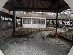 -上海都市菜园