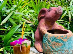 -卷心菜和避孕套餐厅(Pattaya)