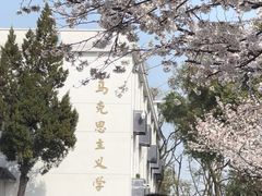 -武汉大学-樱园