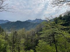 -九华山风景区