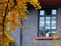 -四川大学(华西校区)