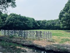 -同里国家湿地公园
