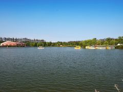 -上海长兴岛郊野公园