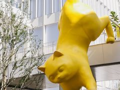 -深圳湾万象城(南山店)