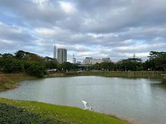 -福田红树林生态公园