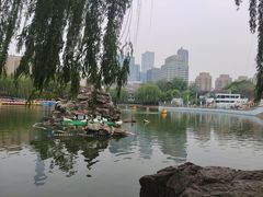 -团结湖公园