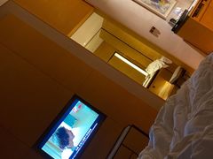 -深圳温德姆至尊酒店