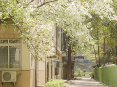 -四川大学(望江校区)