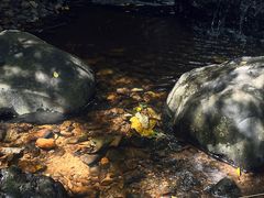 -水濂山森林公园