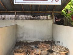 -大象粑粑造纸公园