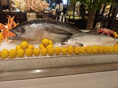 -广州万富希尔顿酒店·感趣自助餐厅·金秋蟹宴生蚝海鲜刺身