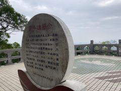 -板樟山森林公园