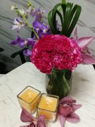 -爱尔乐美孕产瑜伽·普拉提