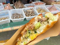 -东沙渔村