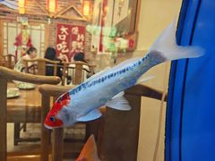 -东来菜馆•手抓海鲜家常菜•海鲜锅贴(鸽子窝店)