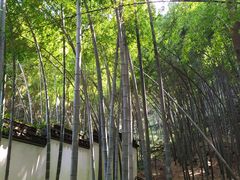 -杭州黄龙洞