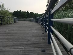 -阳澄湖半岛旅游度假区
