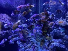 -成都浩海立方海洋公园