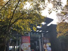 -星巴克(西湖天地店)