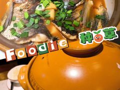 -千岛湖小鱼儿·淳安匠心农家菜