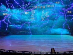 -重庆国际马戏城