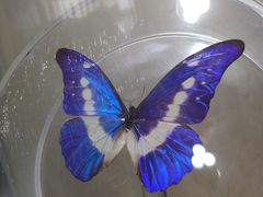 -陕西自然博物馆