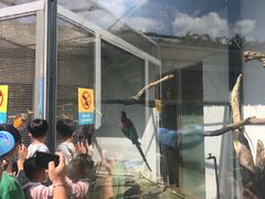 -上方山森林动物世界