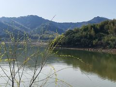 -宁波九龙湖开元度假村