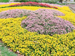 -上海共青森林公园