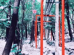 -上海交通大学医学院附属瑞金医院(总院)