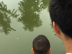 -洪湖家庭农场·团建·露营·会议