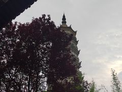 -徽园