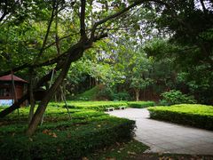 -深圳国际园林花卉博览园