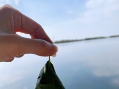-苏州太湖湖滨国家湿地公园