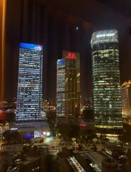 -巍阁高端月子会所