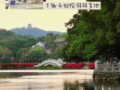 -阿妹小海鲜(下角店)