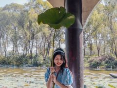 -洪湖生态旅游区