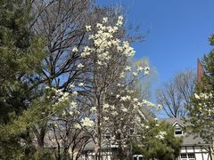 -天毓山庄·餐厅