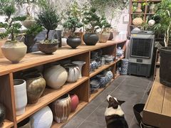 -自由生长植物工作室(深港花卉中心店)