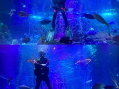 -沈阳海洋探索中心