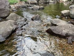 -安吉龙王山风景区